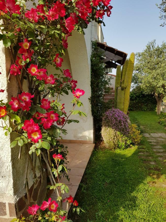 La Limonaia Βίλα Castel Volturno Εξωτερικό φωτογραφία